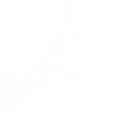 Thumbnail for version as of 18:50, 12 March 2023
