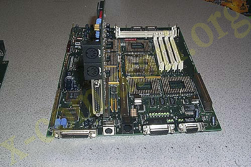 File:Falcon040 2.jpg