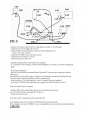 Phantom manual Page 3.jpg
